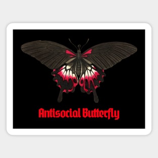 Antisocial Butterfly Magnet